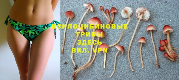 кристаллы Абаза
